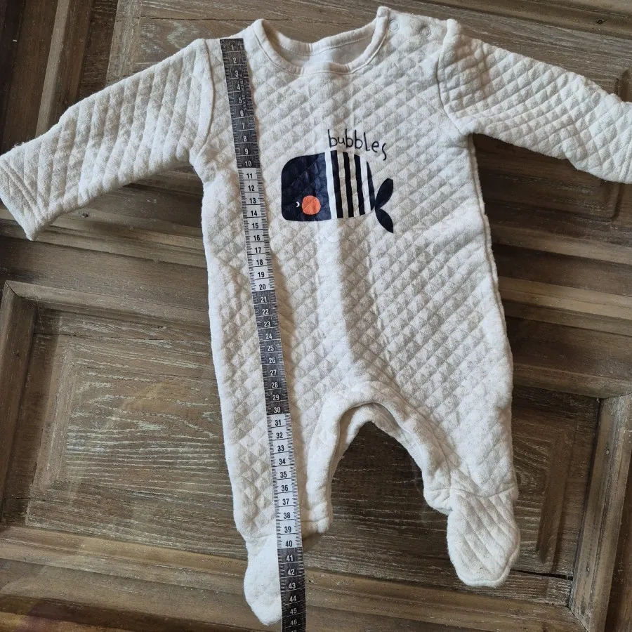 سرهمی ضخیم نهنگ