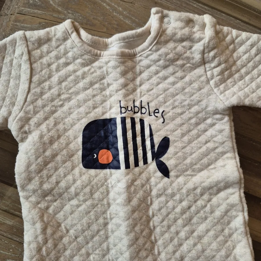 سرهمی ضخیم نهنگ