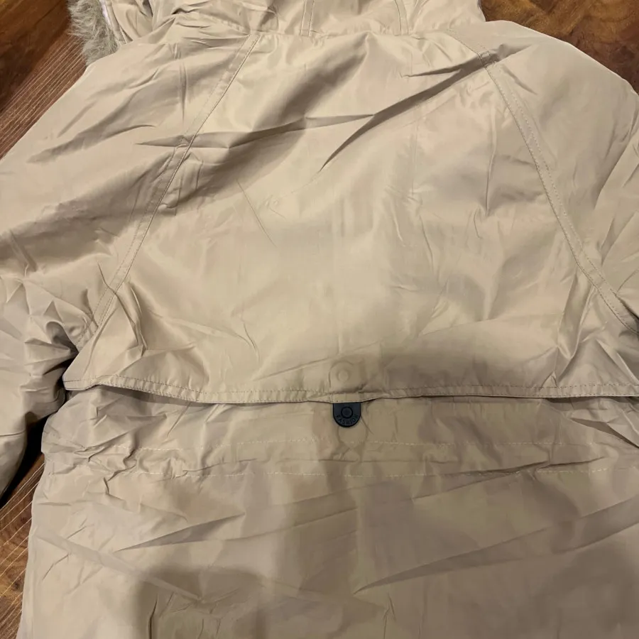 پالتو وارداتی