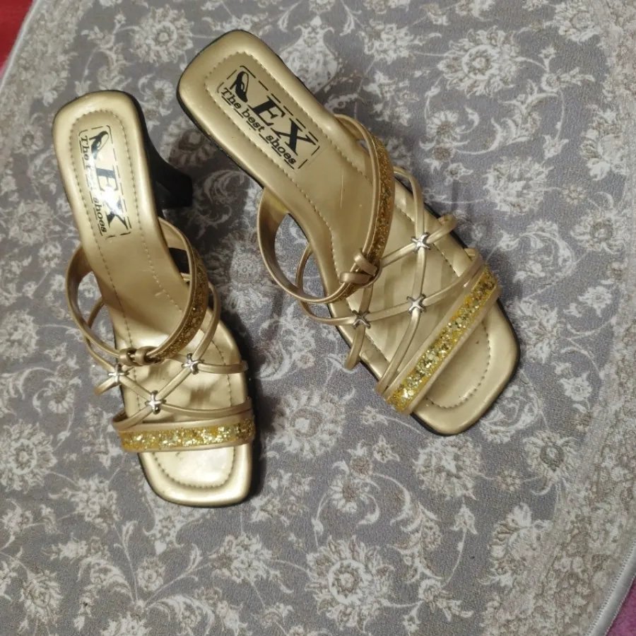 دمپایی مجلسی