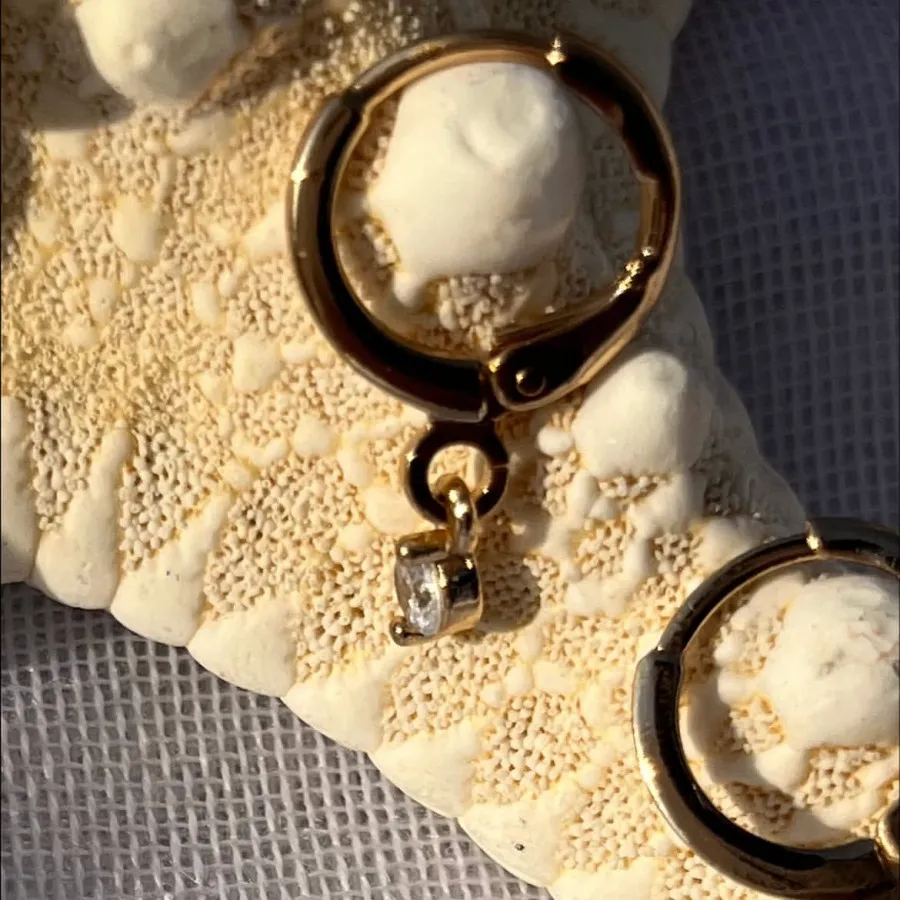 گوشواره های حلقه ای