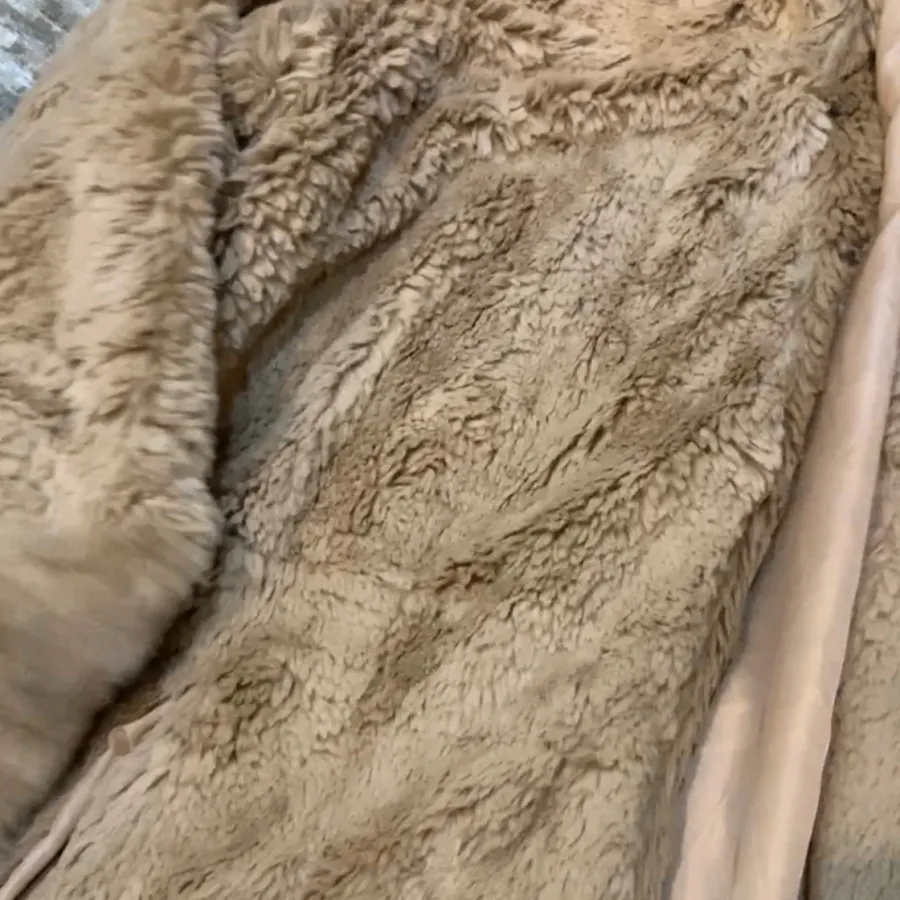 پالتو تدی وارداتی