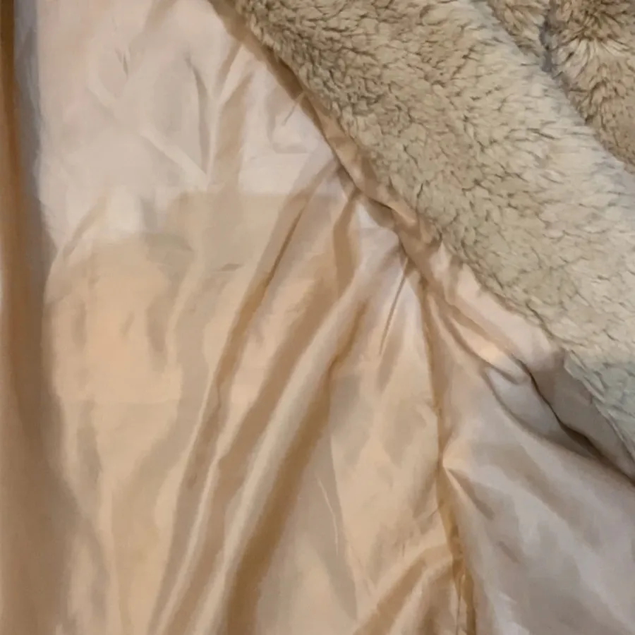 پالتو تدی وارداتی