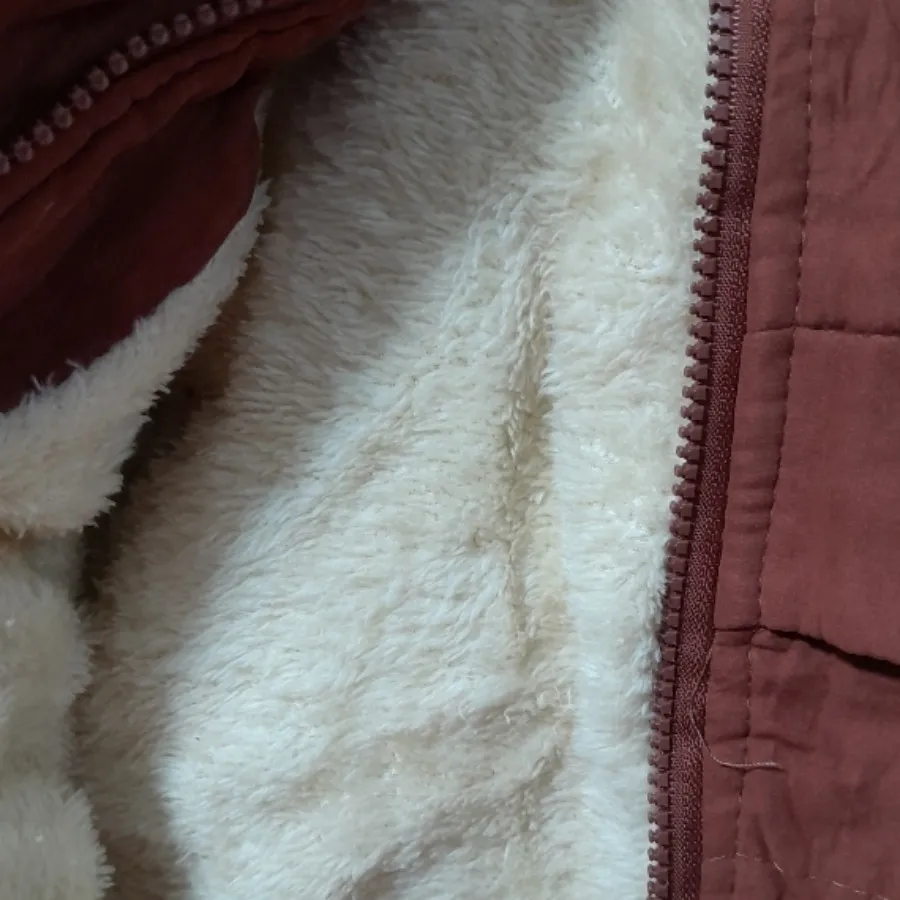 پالتو وارداتی