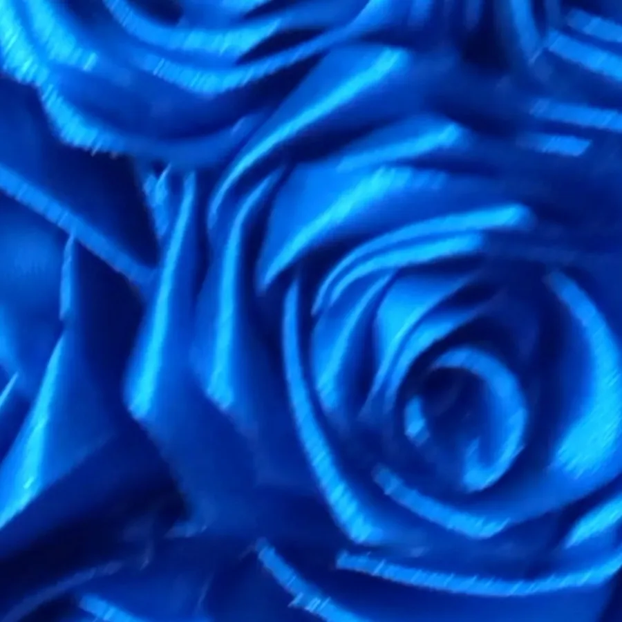 گل روبانی آبی کاربنی