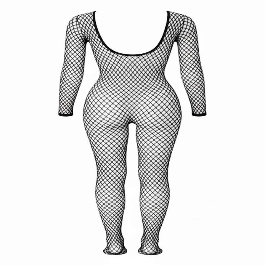 فول بادی تور ماهی نگیندار