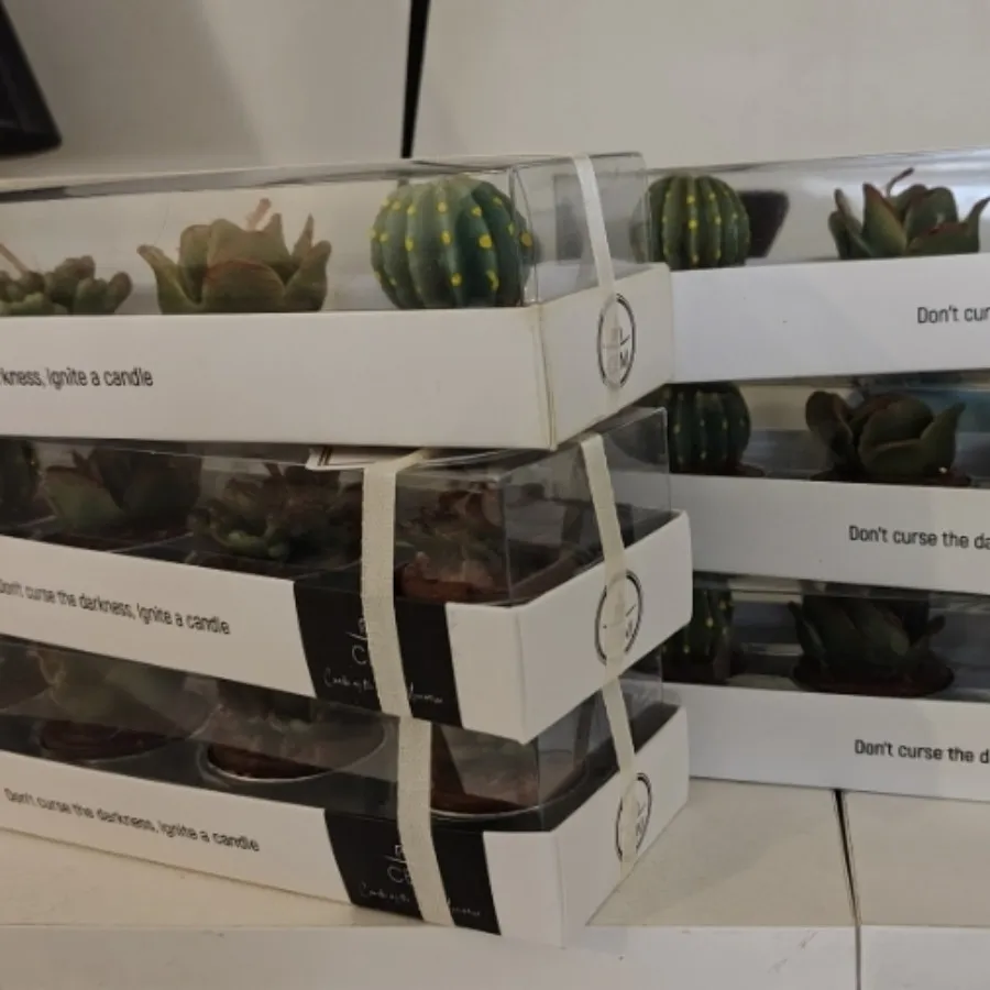 بسته 4تایی شمع کاکتوس