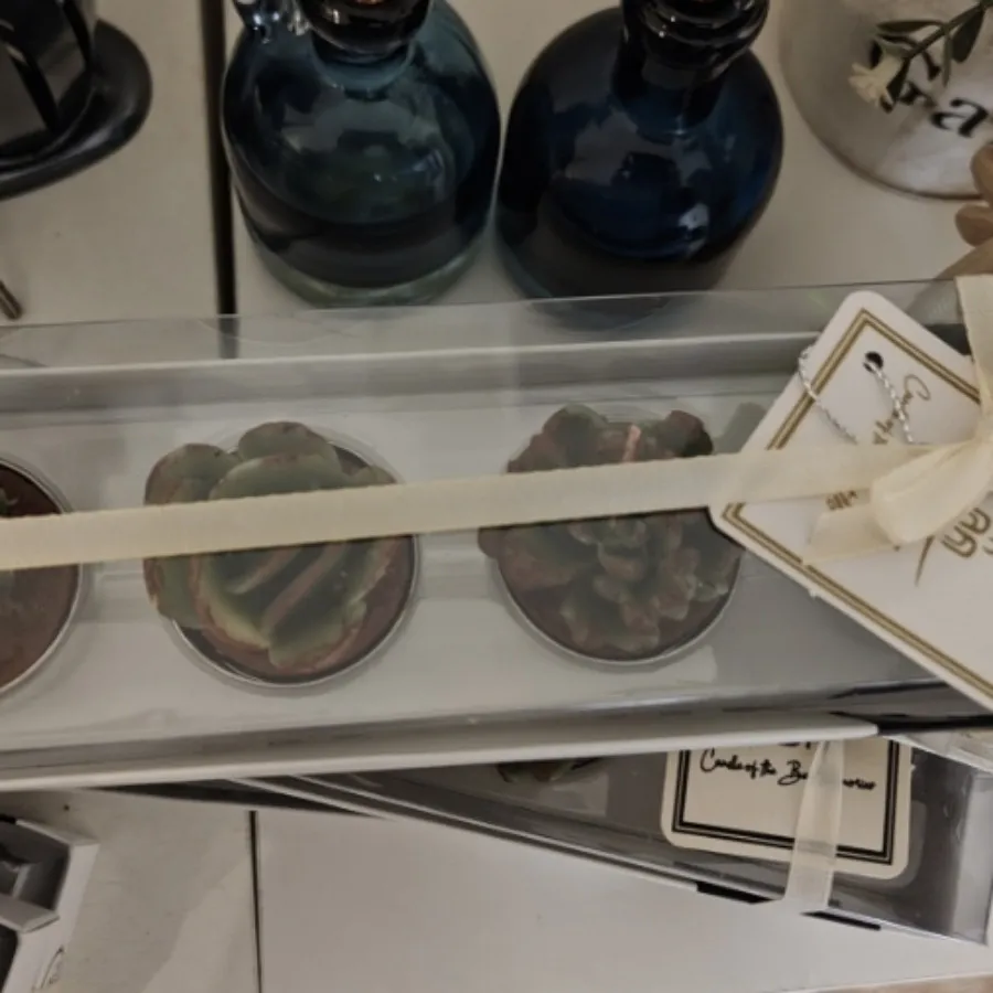 بسته 4تایی شمع کاکتوس