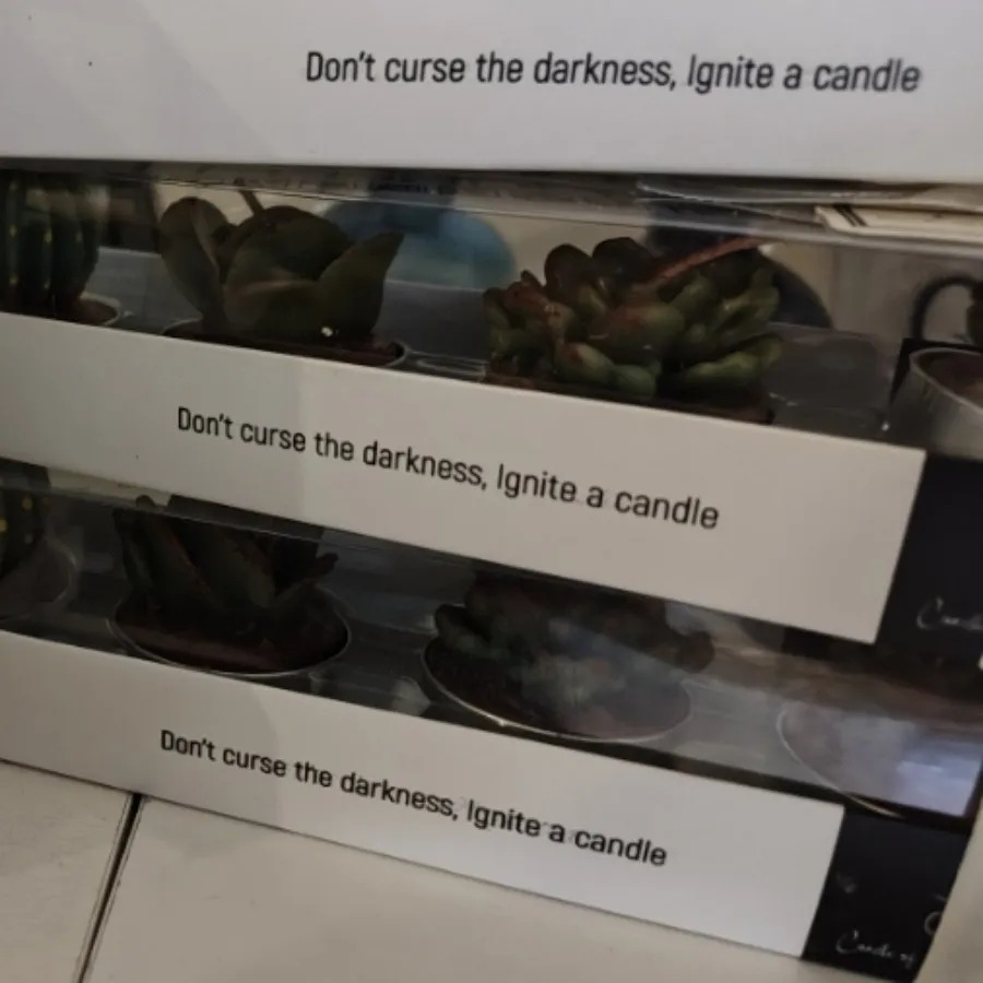 بسته 4تایی شمع کاکتوس