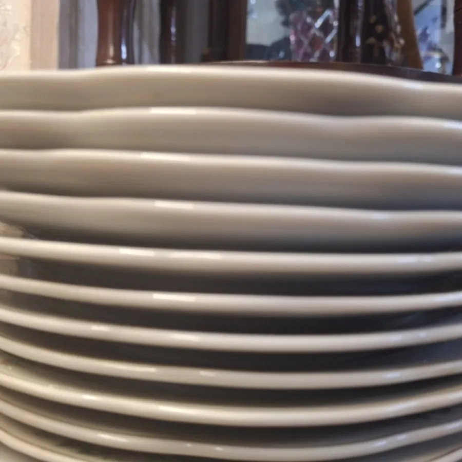 12 عدد بشقاب پلو گل سرخی