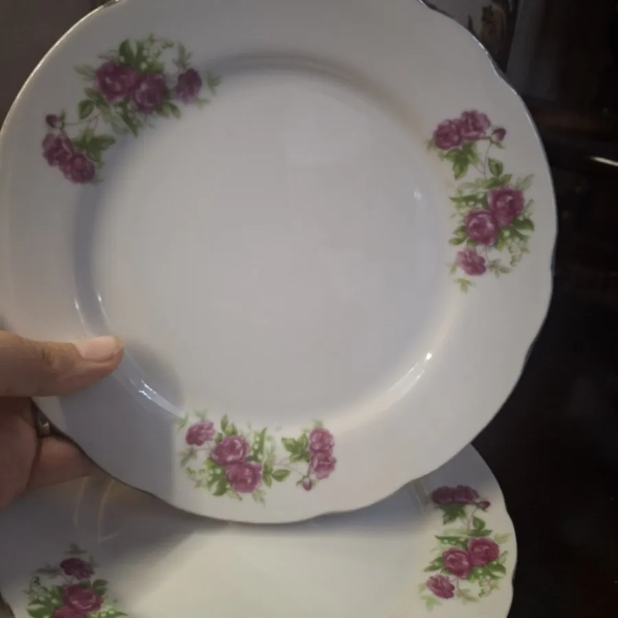 6 عدد پیشدستی گل سرخ ژاپن