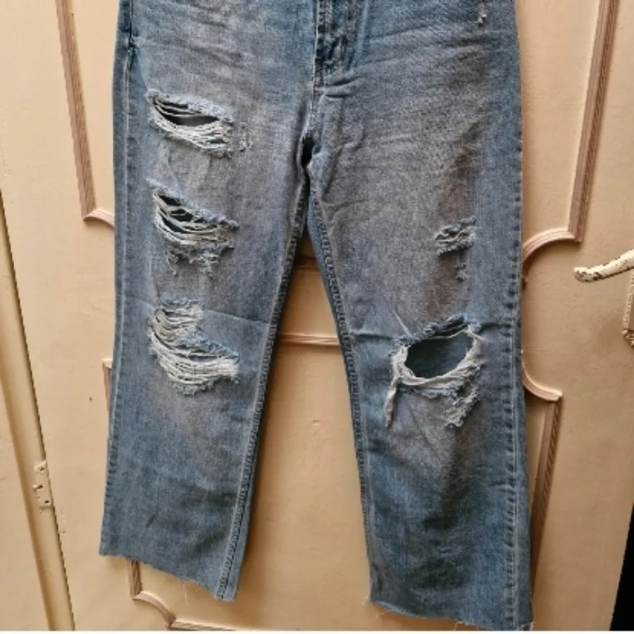 جین بگ زاپدار