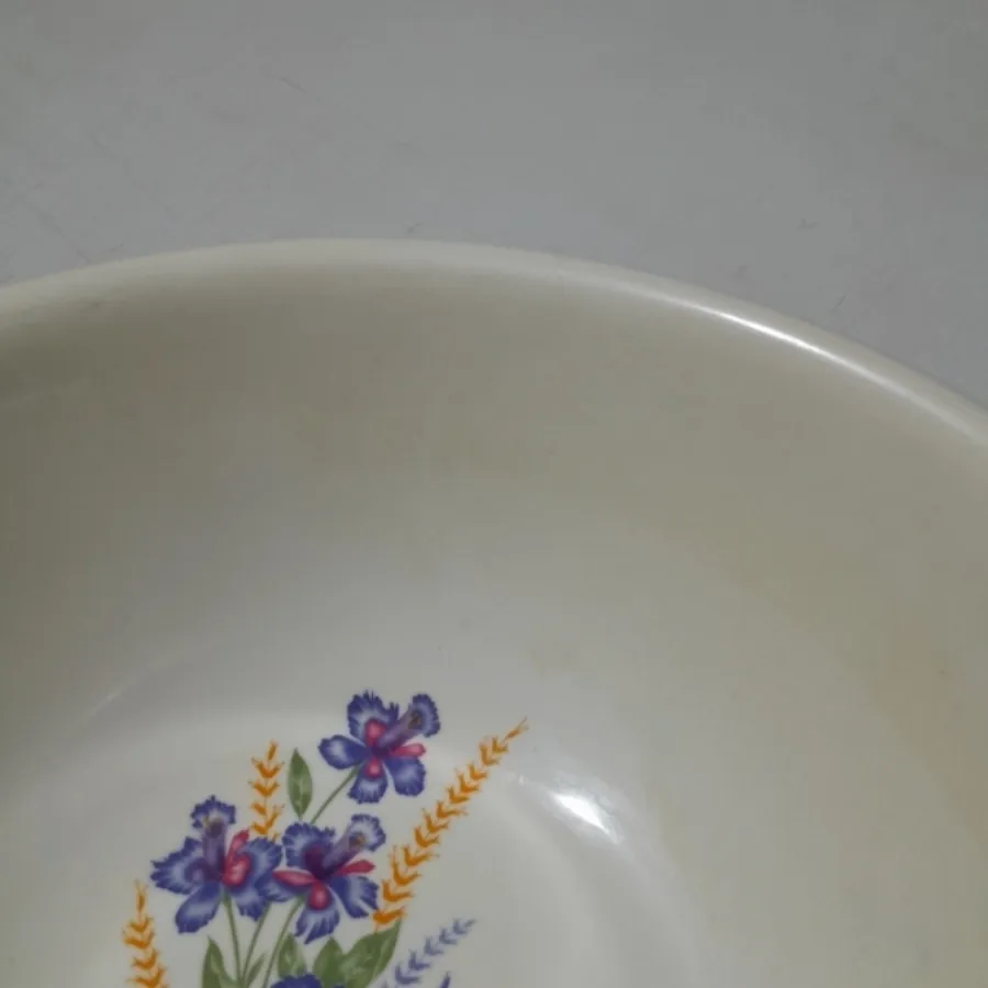 کاسه ابگوشت خوری بزرگ