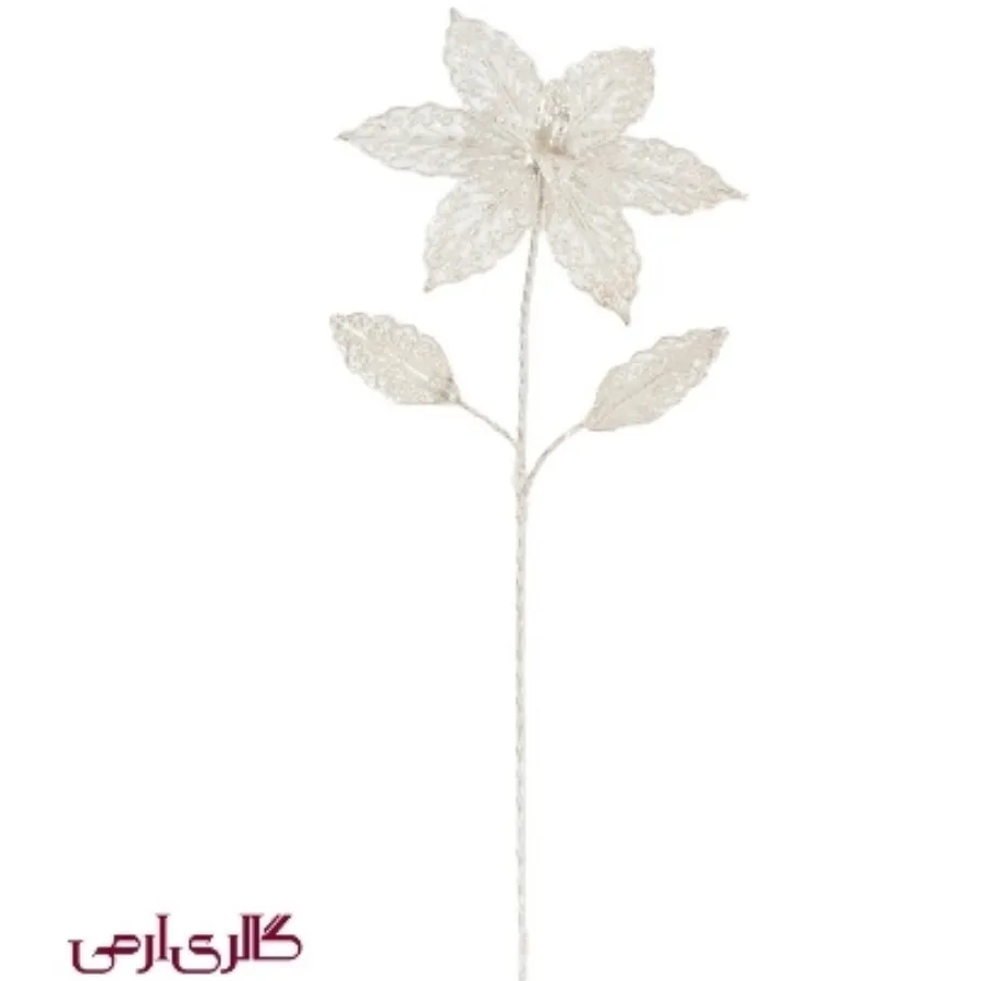 قاب گل نقره