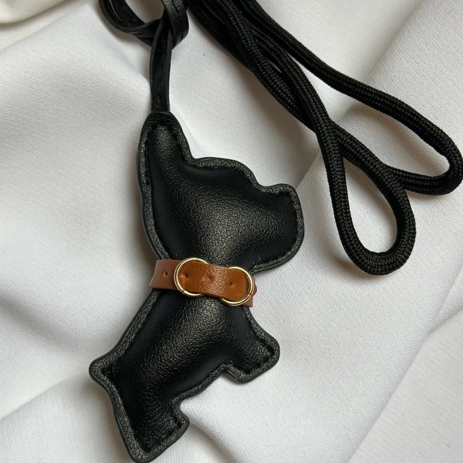 بگ چارم سگ چرم ترند