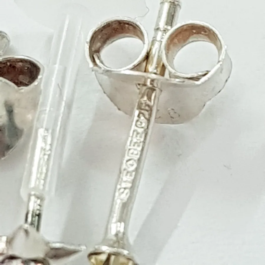 پک گوشواره گلگوش نقره 925