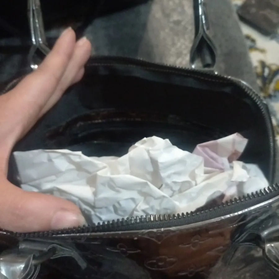 کیف طرح لویی ویتون سیلور