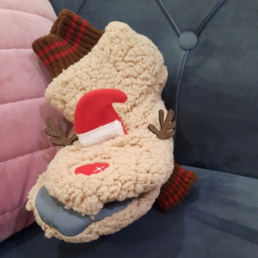 پاپوش برند پنتی