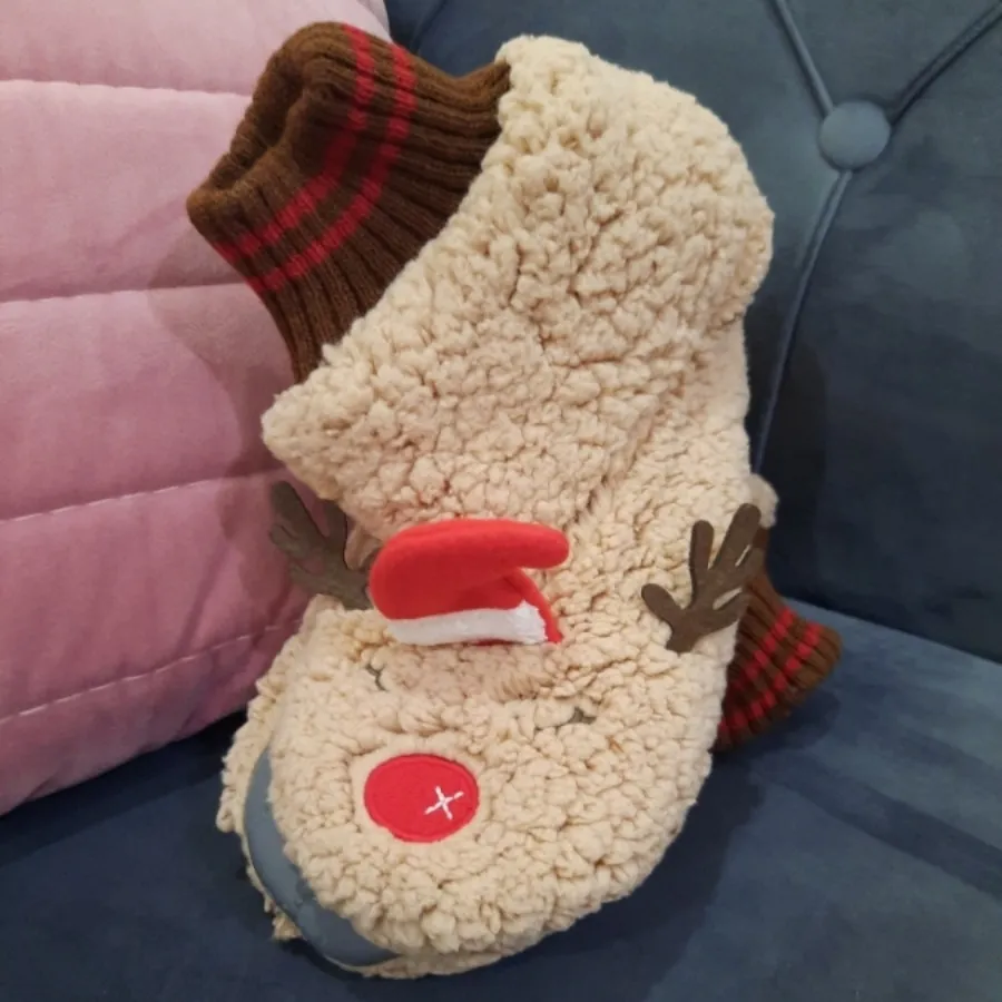 پاپوش برند پنتی