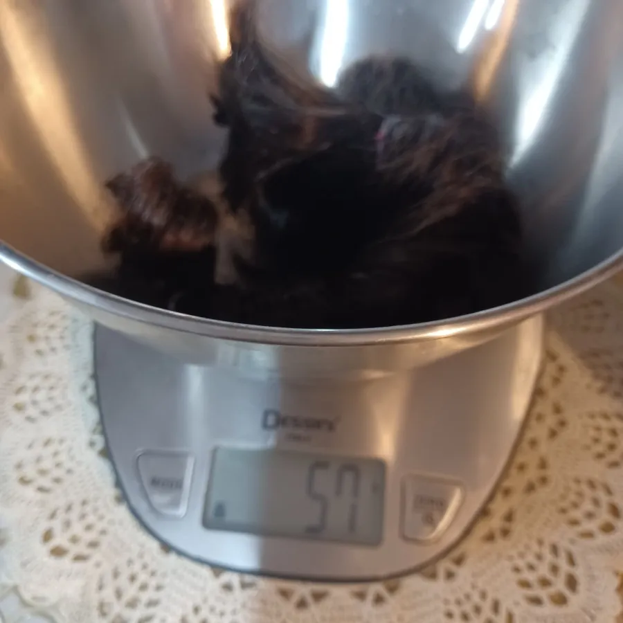 موی طبیعی دختر بچه