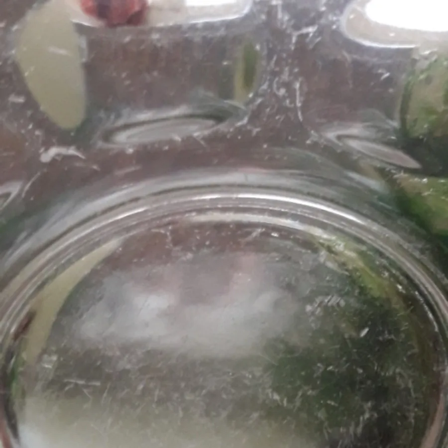 12عدد فنجان و نعلبکی