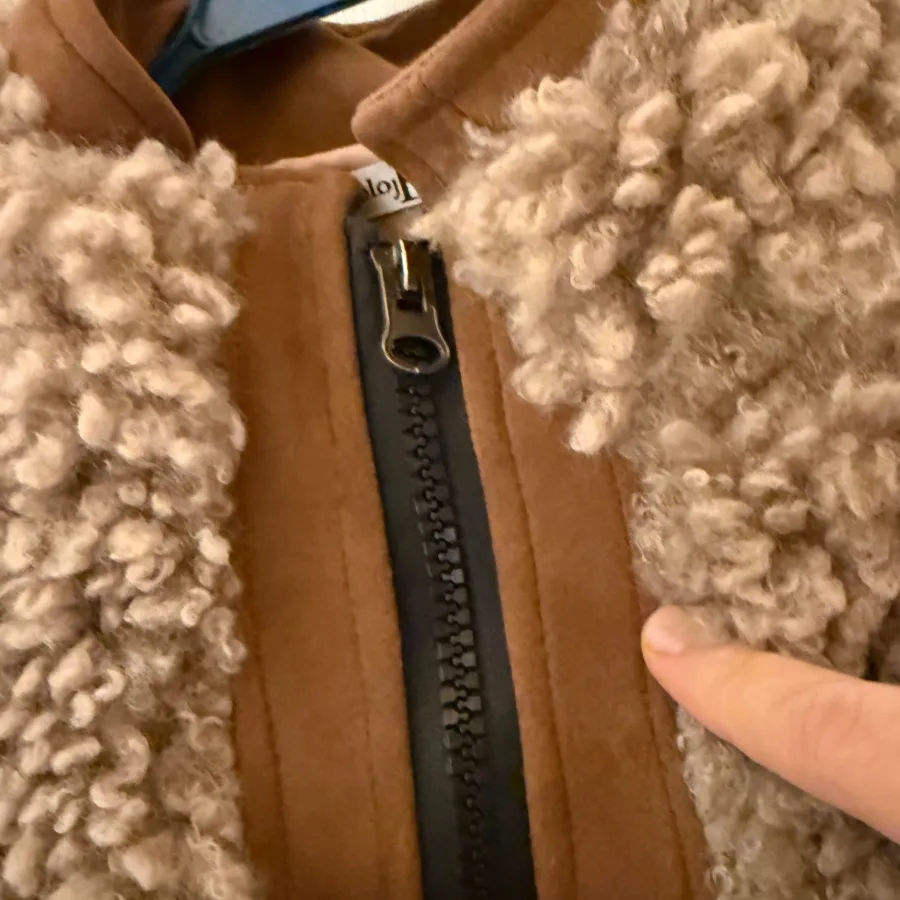 پالتو تدی کارامل