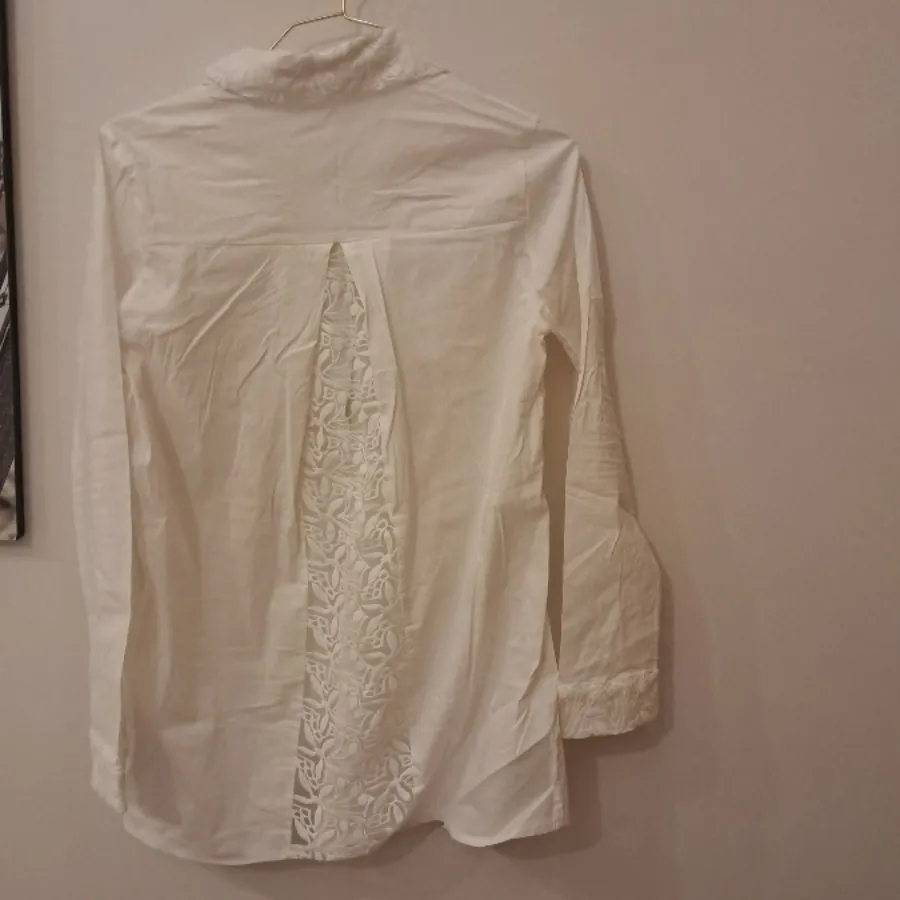 شومیز مجلسی