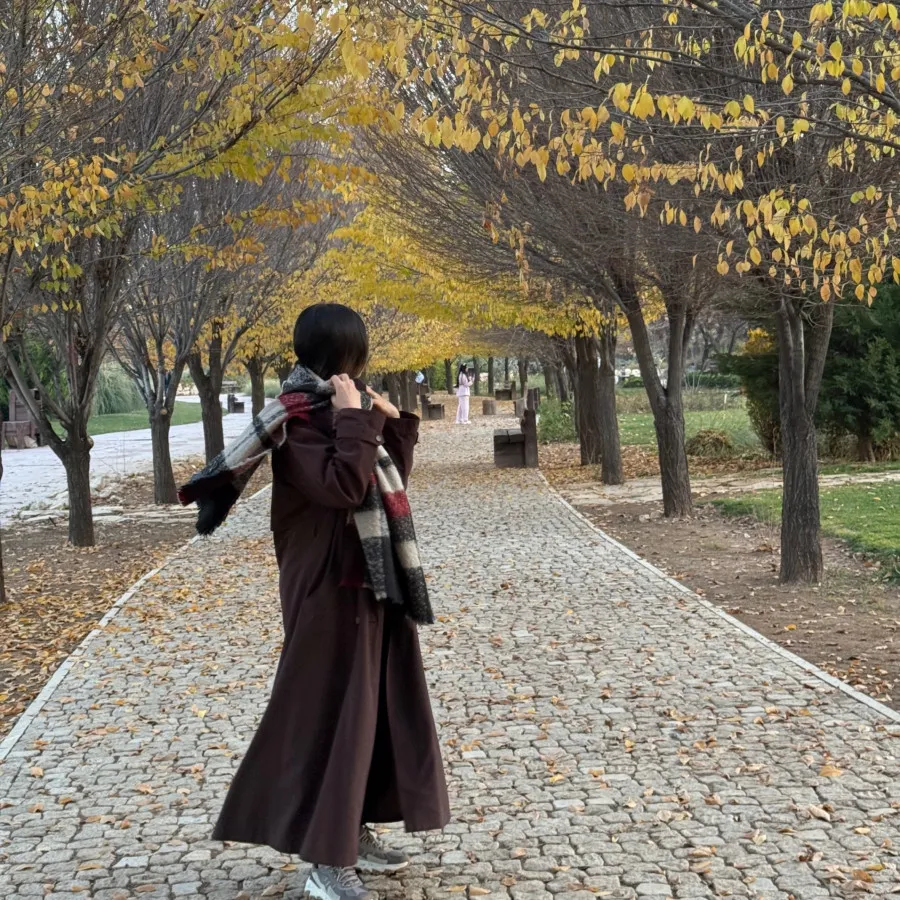 پالتو خارجی