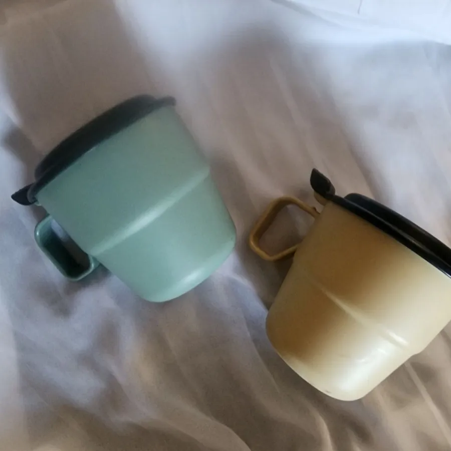 ماگ‌ ژاپنی