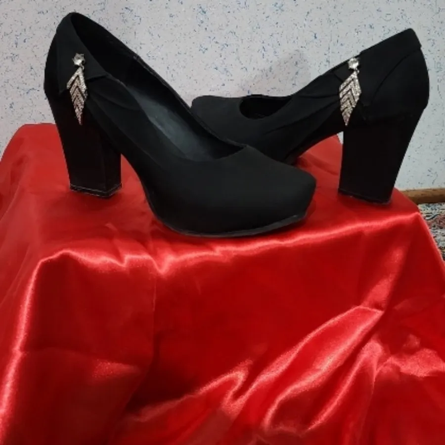 کفش مجلسی