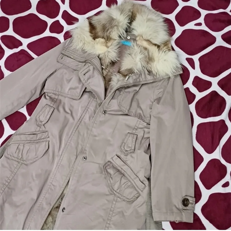 پالتو وارداتی