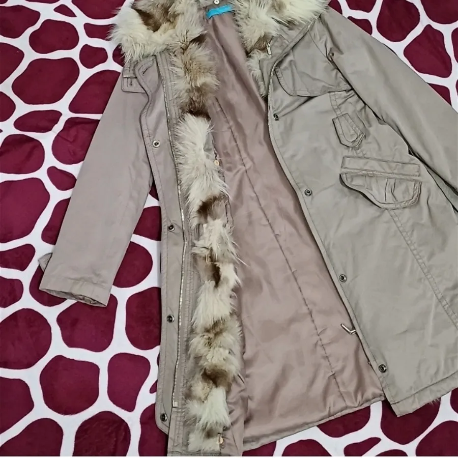 پالتو وارداتی