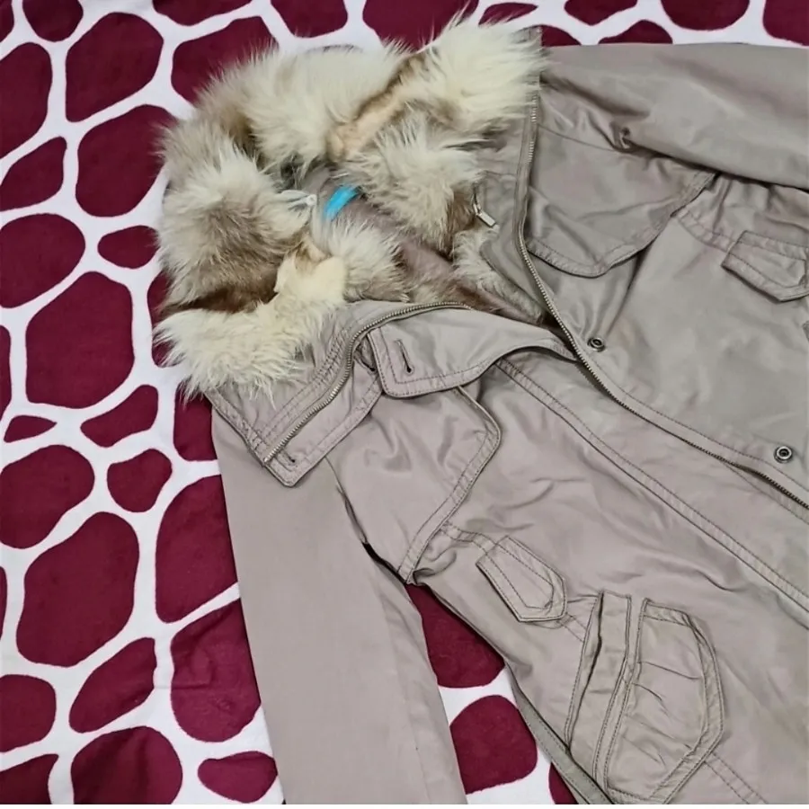 پالتو وارداتی