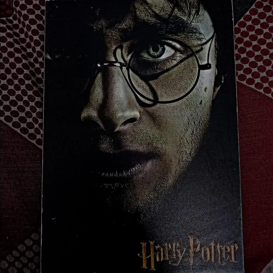 تابلو هری پاتر