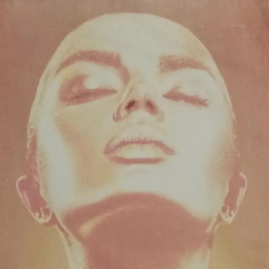 تابلوشاسی گالریسُون باهار