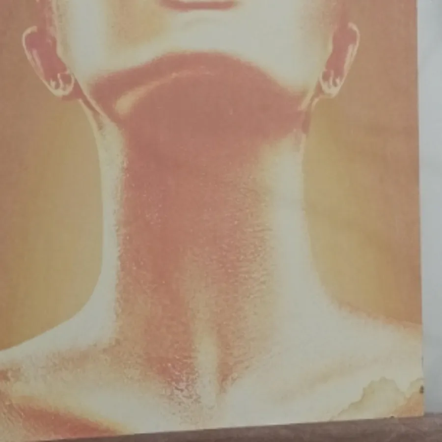 تابلوشاسی گالریسُون باهار