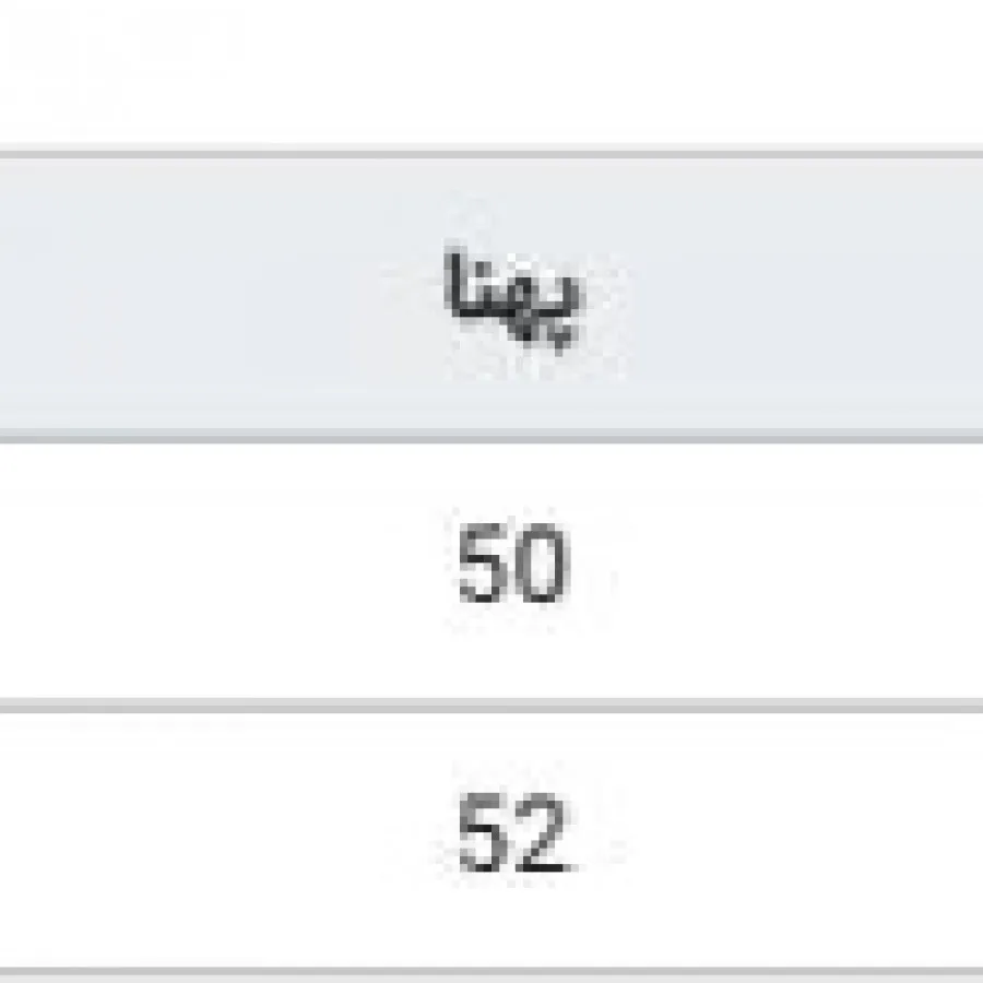 هودی برند اچ اند ام