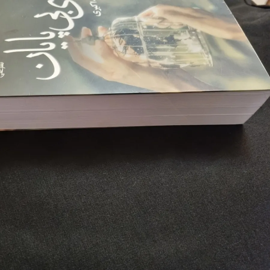 رمان ایرانی