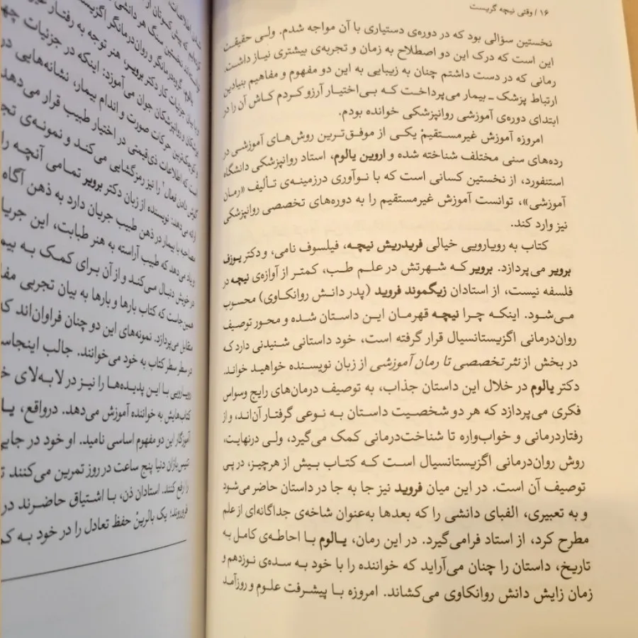 وقتی نیچه گریست