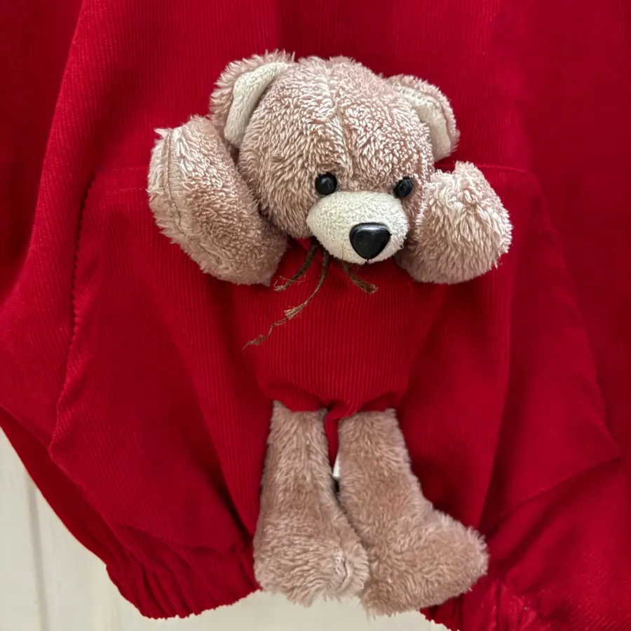 هودی مخمل خرسی