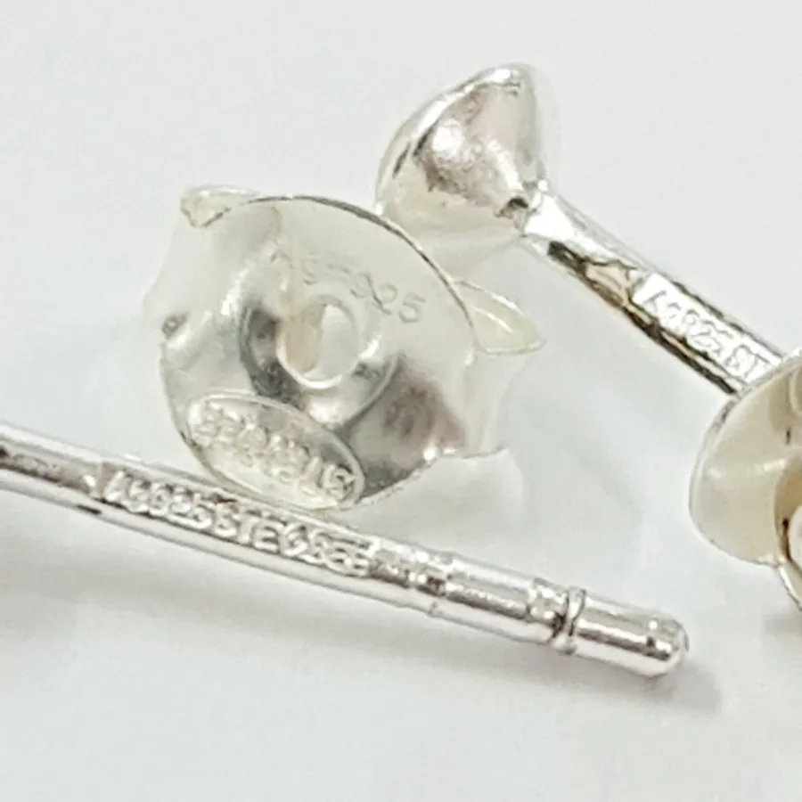 پک گوشواره گلگوش نقره 925