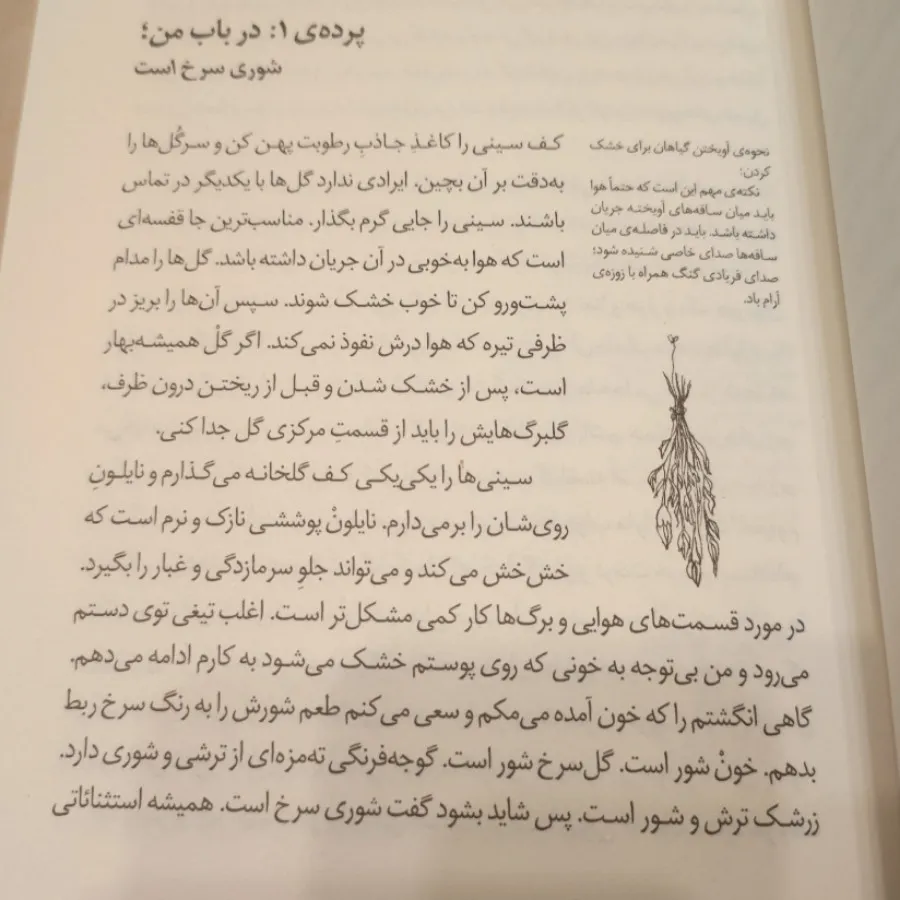 راهنمای مردن با گیاهان