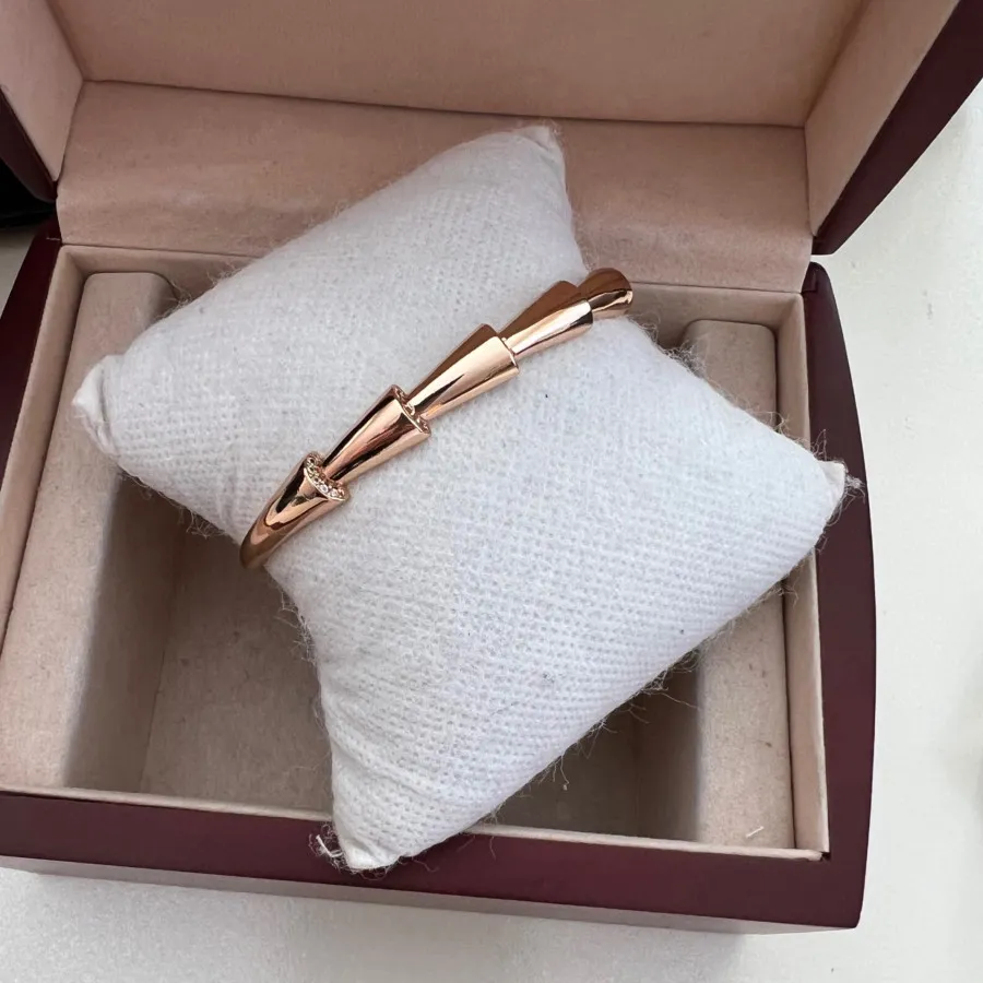 5 عدد بنگل زیبا