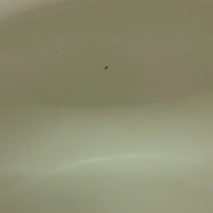 کتری لعابی بی وی کی در حد