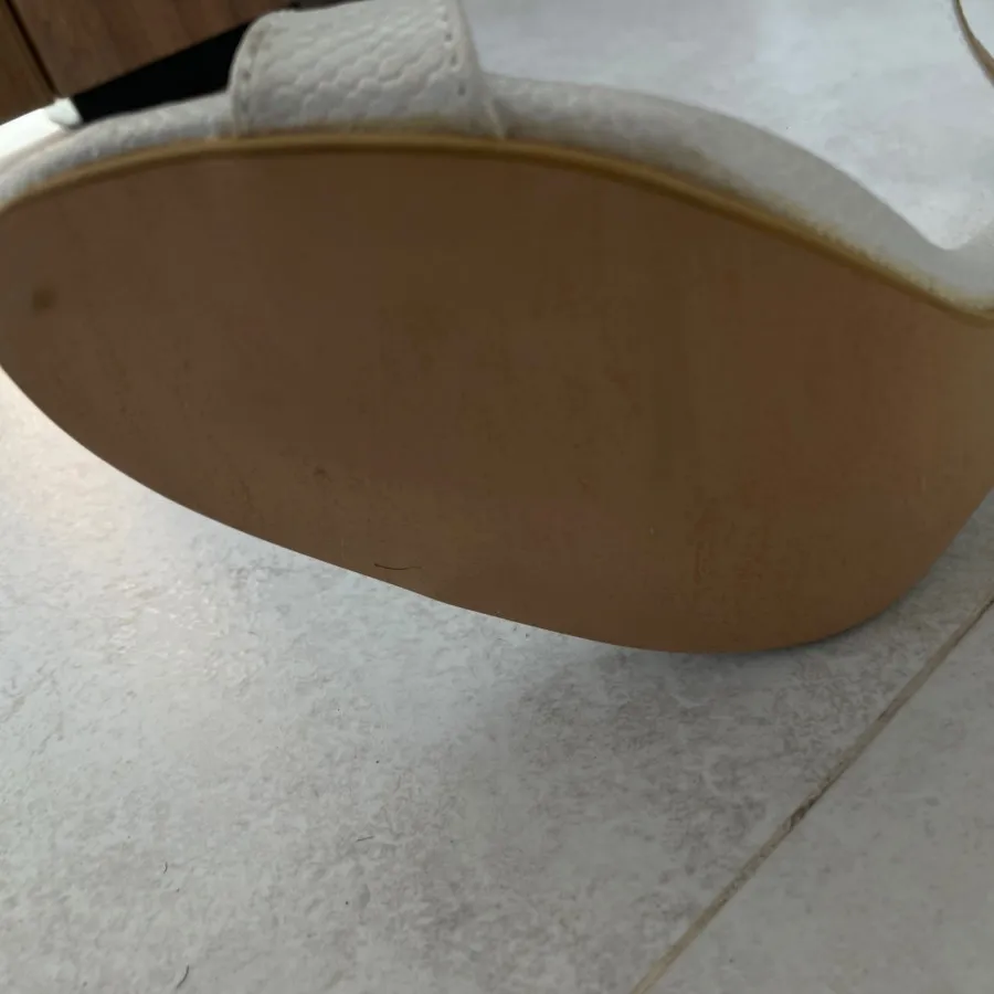 کفش مجلسی صدفی