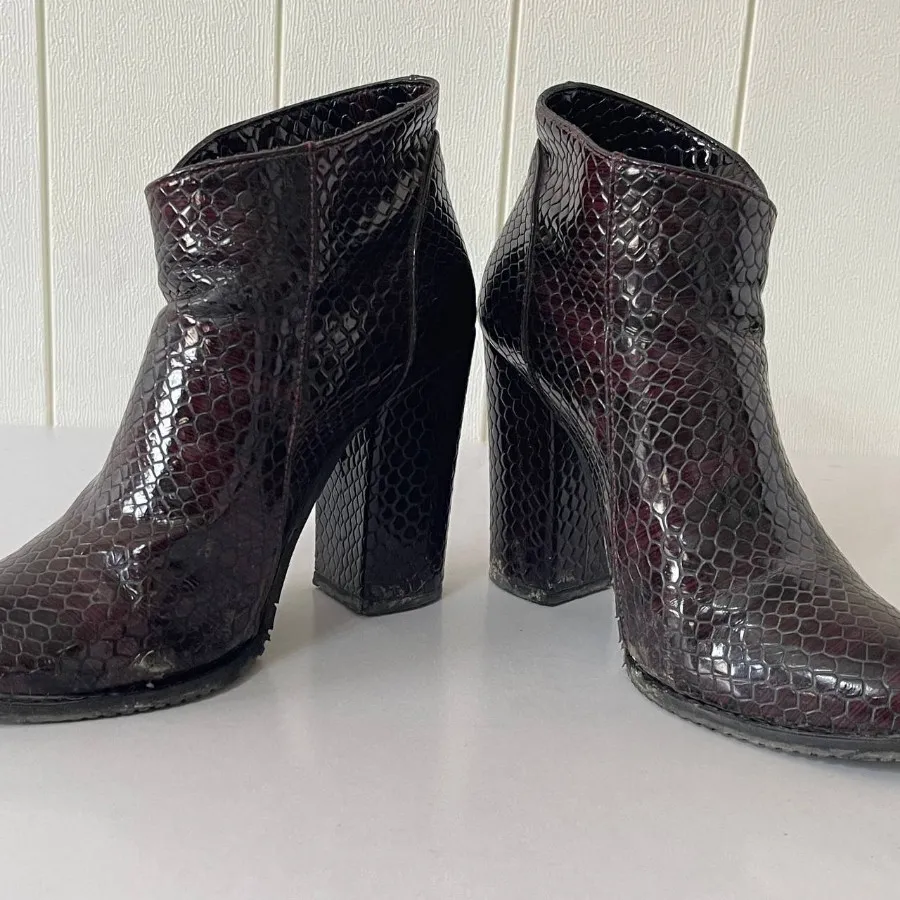 بوت مجلسی خارجی