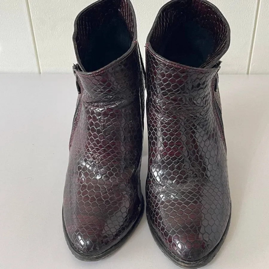 بوت مجلسی خارجی