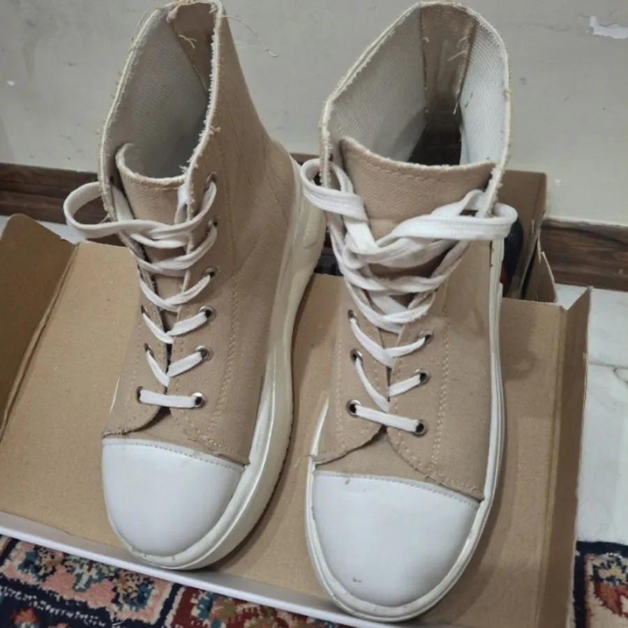 آلستار ساق دار