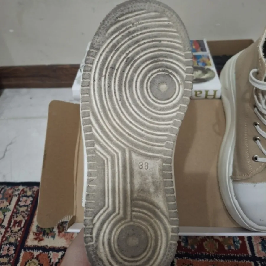 آلستار ساق دار