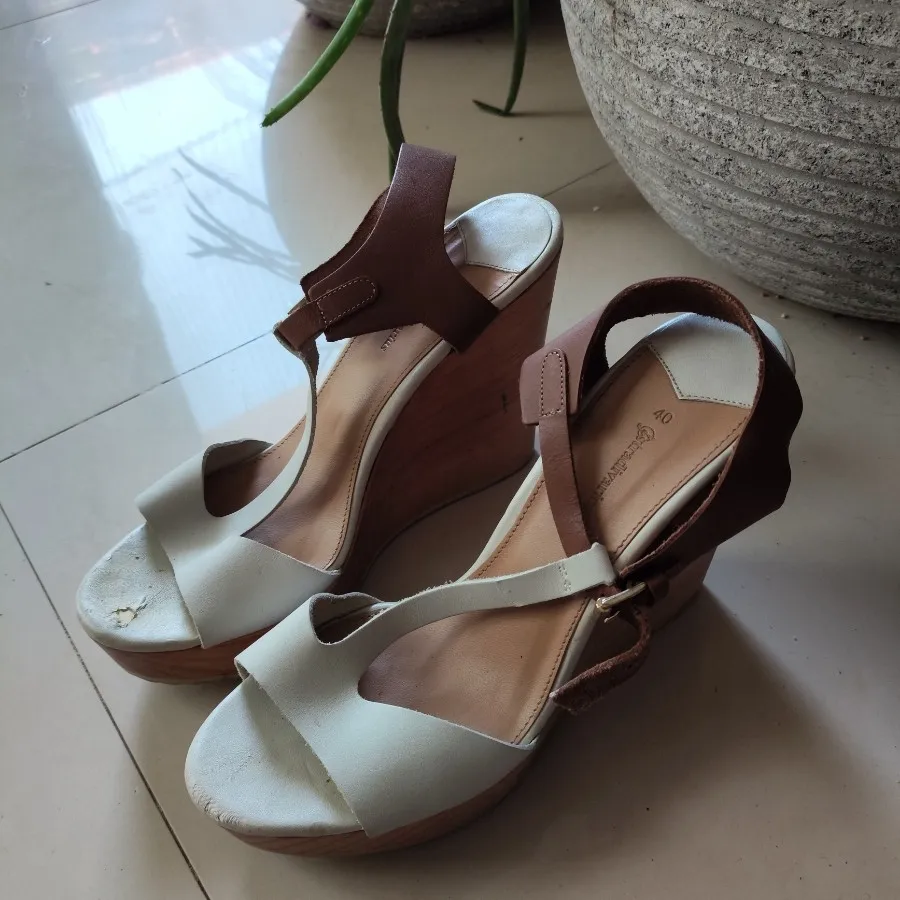 دو جفت کفش مجلسی زارا